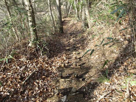 20161229hike (235)